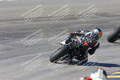 media/Feb-04-2024-SoCal Trackdays (Sun) [[91d6515b1d]]/4-Bowl Backside (11am)/